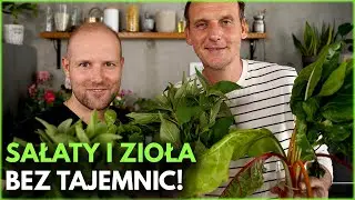 SAŁATY i ŚWIEŻE ZIOŁA - wszystko co musicie wiedzieć! | Pascal i goście