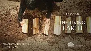 Episode 1: The Living Earth - How to Re-build the Soil
