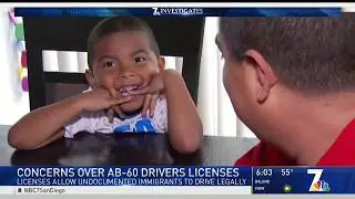 DMV Confirms ICE Has Limited Access to AB 60 License Information