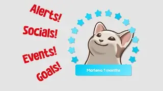 The Twitch Everything Widget! Alerts - Socials - Events - Goals