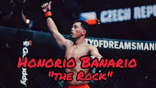All Honorio Banario Finishes in MMA