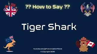 🦈🐅 How to Pronounce Tiger Shark? (CORRECTLY) | Pronunciation Planet