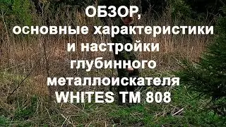 Обзор, хар-ки и настройки глубинного металлоискателя Whites TM 808