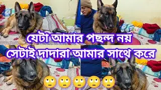 যেটা আমার পছন্দ নয় সেটাই দাদারা আমার সাথে করে 🙄 || German Shepherd love her father 😊 || dog video 