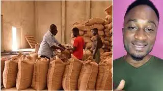 Les agriculteurs de cacao en Côte d’Ivoire souffr•ent deh 🇨🇮😩🔥👐