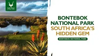 Bontebok National Park: South Africa&rsquo;s Hidden Gem | #SANParks