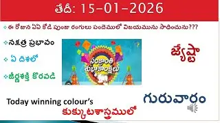 15 January 2026 today winning colours/Today winning colours /vision of kukkuta sastram in colours