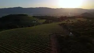 Aerial of Plinth Houyi vineyard rows on Pritchard hill