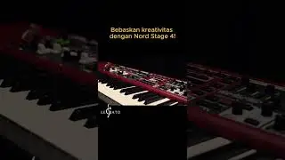 Nord Stage 4 Keyboard Pro untuk Live Performance Anda! #shorts