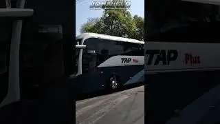 Transportes y Autobuses del Pac&iacute;fico (TAP) Plus | Volvo 9800 6x2 - Con destino a Tijuana 👋