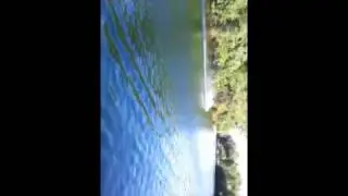 RC Boat running at Curly's Pad