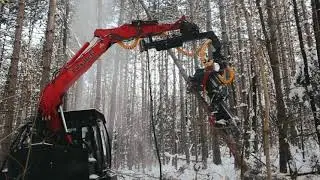 L'abatteuse multifonctionnelle