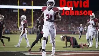 David Johnson Highlights || Remember The Name || HD ||