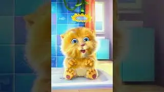 Kucing ngomong kasar