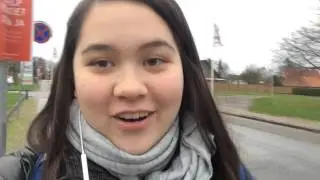 Di&aacute;rio de Intec&acirc;mbio - Be a Gringo in Denmark | Semanas 17 e 18