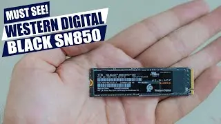 Обзор SSD Samsung 980 PRO NVMe: по-прежнему ЛУЧШИЙ SSD PCIe 4.0 в 2026 году?