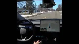 Tesla FSD v13.2.8 Intentionally Runs Over Roadkill