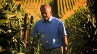 Steve King - 
