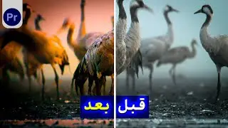 Before After واقعی تو Premiere بدون پلاگین