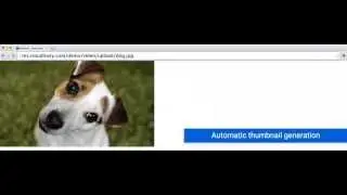 Introducing Cloudinary's video management solution