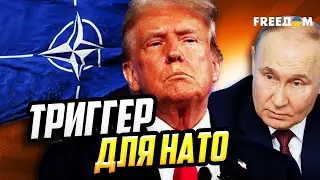 Гарантии БЕЗОПАСНОСТИ: НОВЫЕ правила во избежание АГРЕССИИ