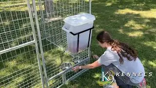 Buddeez Pet Food container In 3 sizes