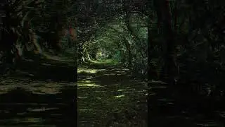 Whoa, whoa - huh? What the heck happened to my video? #spooky #countrymusic #folkmusic #radio #SWR