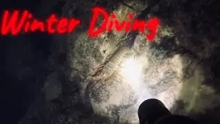 Mission Bay Lobster Diving (A Cold Day)