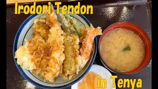 #173 Irodori Tendon in Tenya