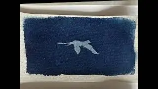 bird cyanotype animation