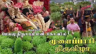 தென்காசி மேலமுத்தாரம்மன் கோவில் முளைப்பாரி திருவிழா 2024 | Malar tv