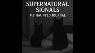 Supernatural Signals: My Haunted Journal | Episode 1 - Shadow Cats & Subtle Hauntings