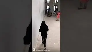 #travelling#blogger#blog#udaipurdairy#traveller#traveladdicted#traveltheworld#trends#trending#foryou