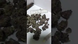 Gary Runts review from discount pharms