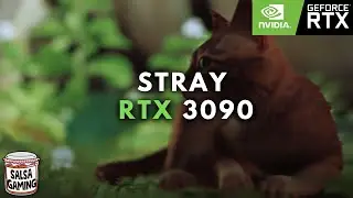 STRAY PC GAMEPLAY | STRAY RTX 3090 PC MAX SETTINGS (4K UNCAPPED GAMEPLAY)