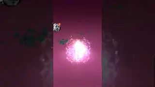ZORUA SHINY CHECK #18