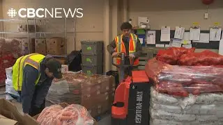 Lower Mainland food banks welcome Ottawa&rsquo;s steps to bring down cost of groceries