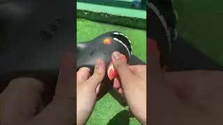 Shark Slides with Interchangeable Accessories
