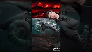 Permian extinction ( The Great Dying)