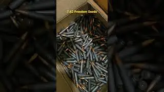 Freedom Seeds