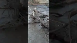 Monsoon Destruction