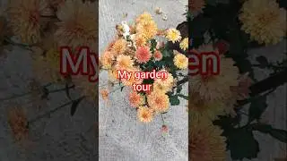 my beautiful garden tour🏡🍓🍍🍇🙏🍇🍐