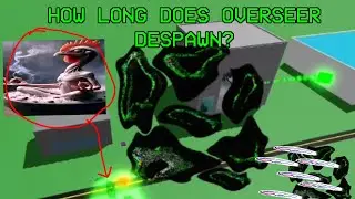 Does overseer despawn in ir entity roleplay? For how long? 