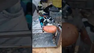 Incredible Potato Cu