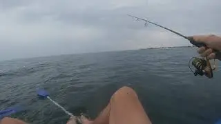 Adelaide Squid Fishing | Tips and Tricks
