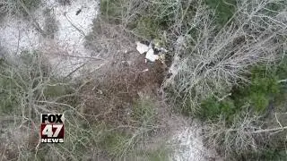 FAA won't investigate fatal plane crash