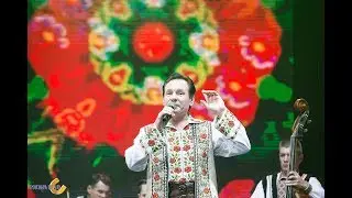 Nicolae Ciubotari și Lăutarii - Hora de joc #potcoavadeaur