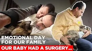 Behind the Smiles: What Emotional Days Look Like for Us (Queer Couple) #gaycouplevlogs #cat #queer