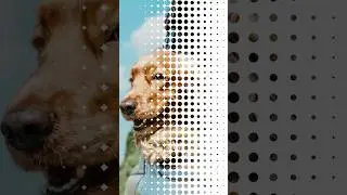 Affinity Photo Tutorial: Creating a Stunning Halftone Effect
