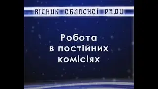 Засідання бюджетної комісії 08 15 2019